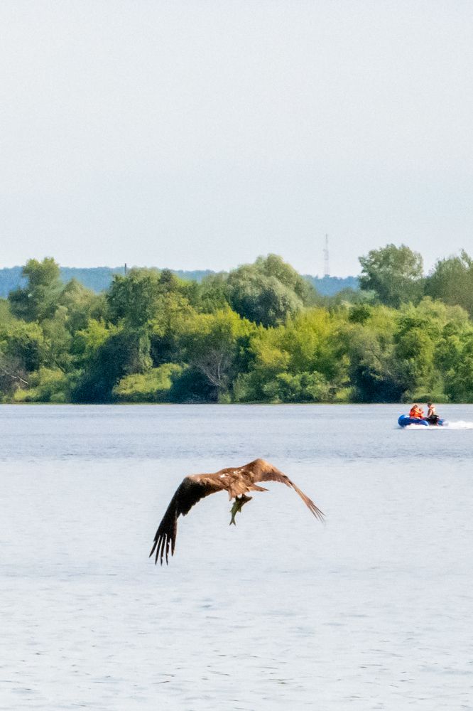 Фотография автора Олег Капуста