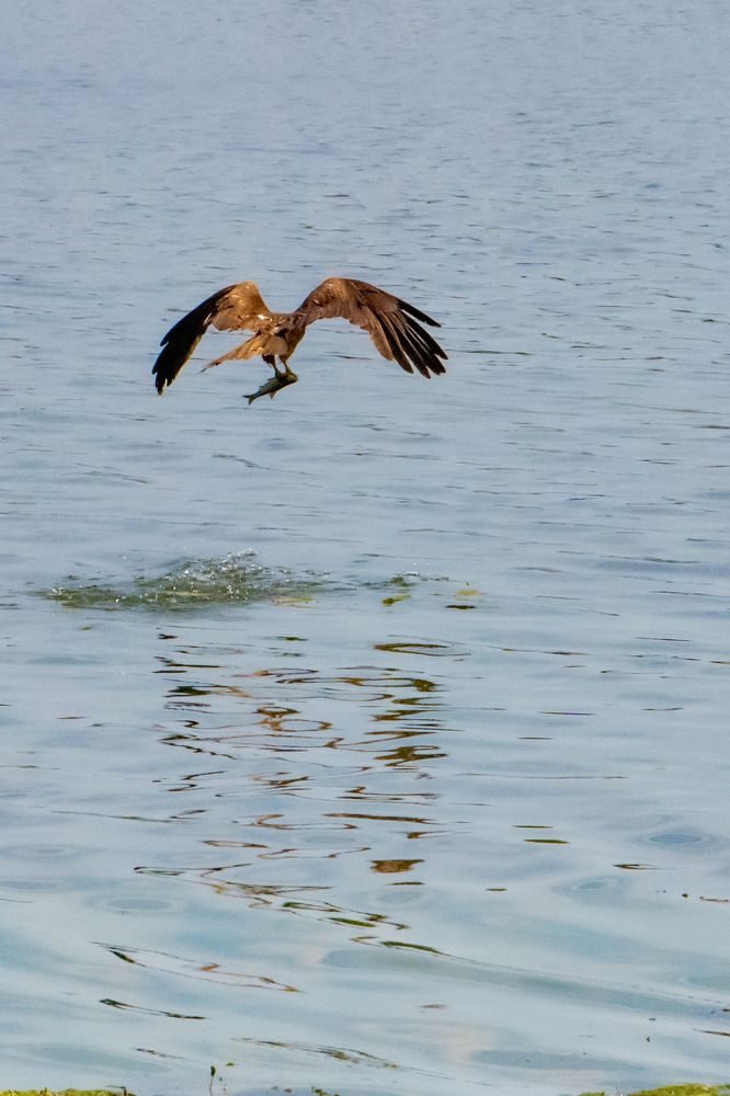 Фотография автора Олег Капуста