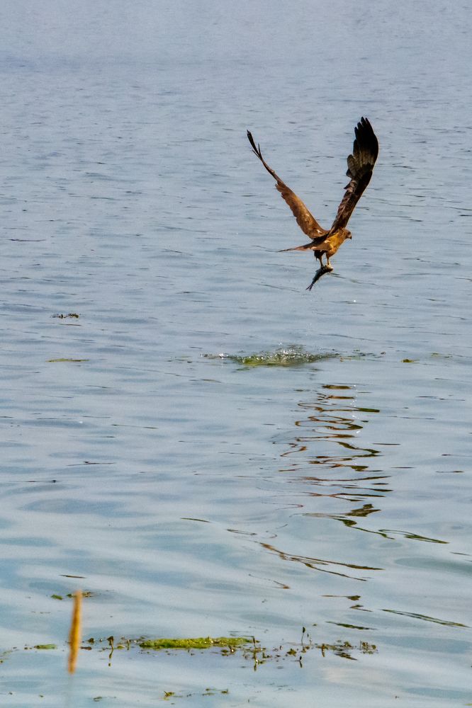 Фотография автора Олег Капуста