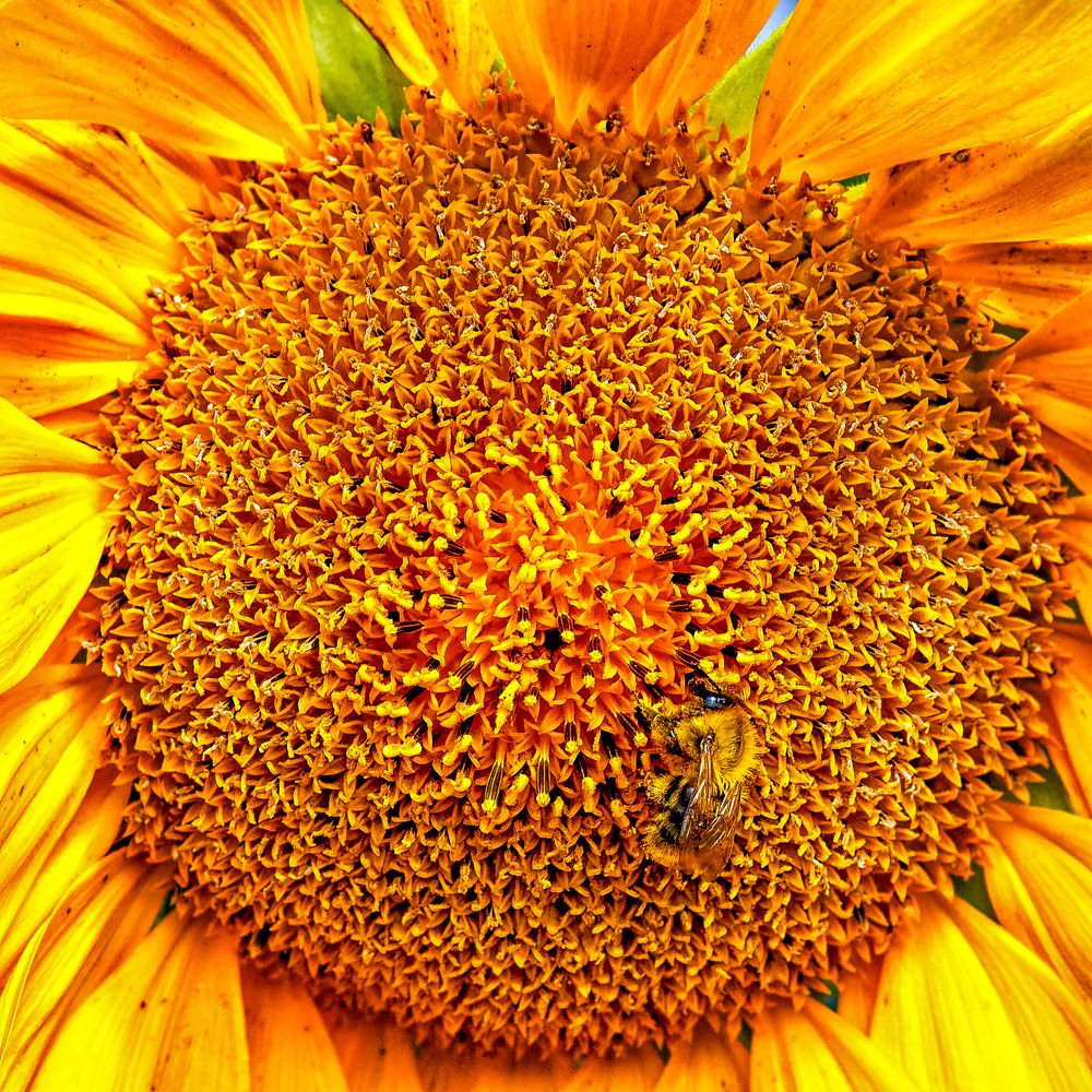 Photograph by Светлана