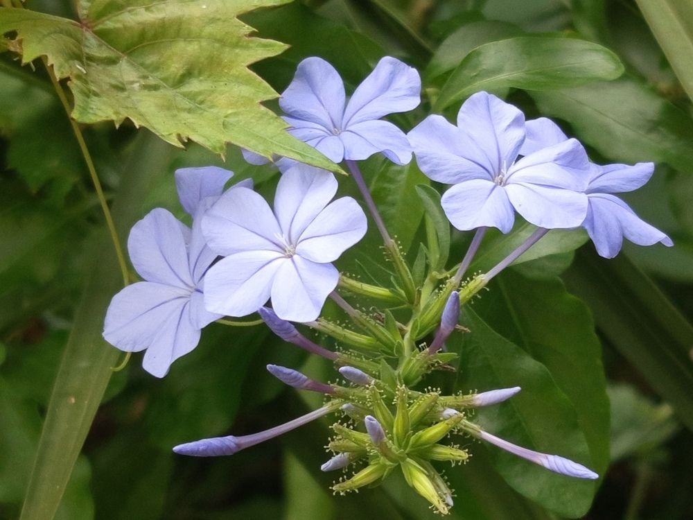 Photograph by Дмитрий Петренко