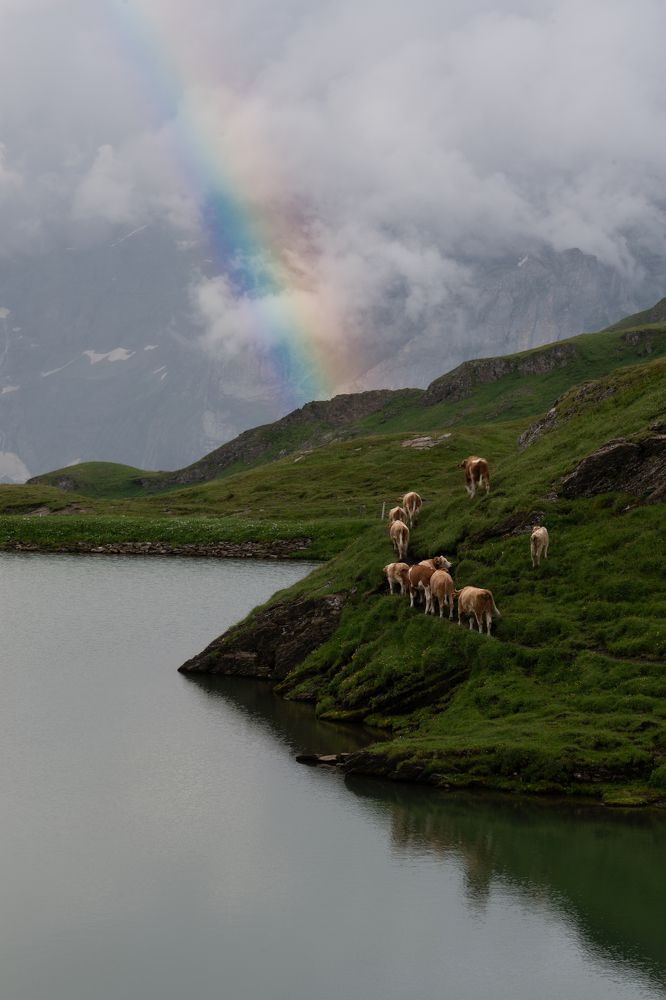 Фотография автора Jack Instedt