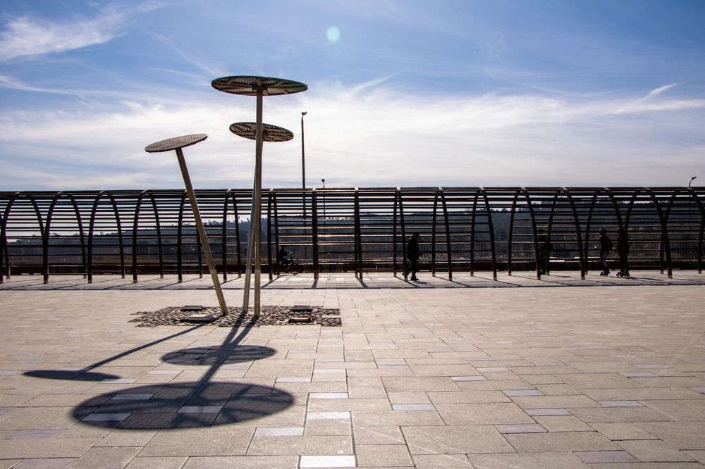 Photograph by Mohsen Khani