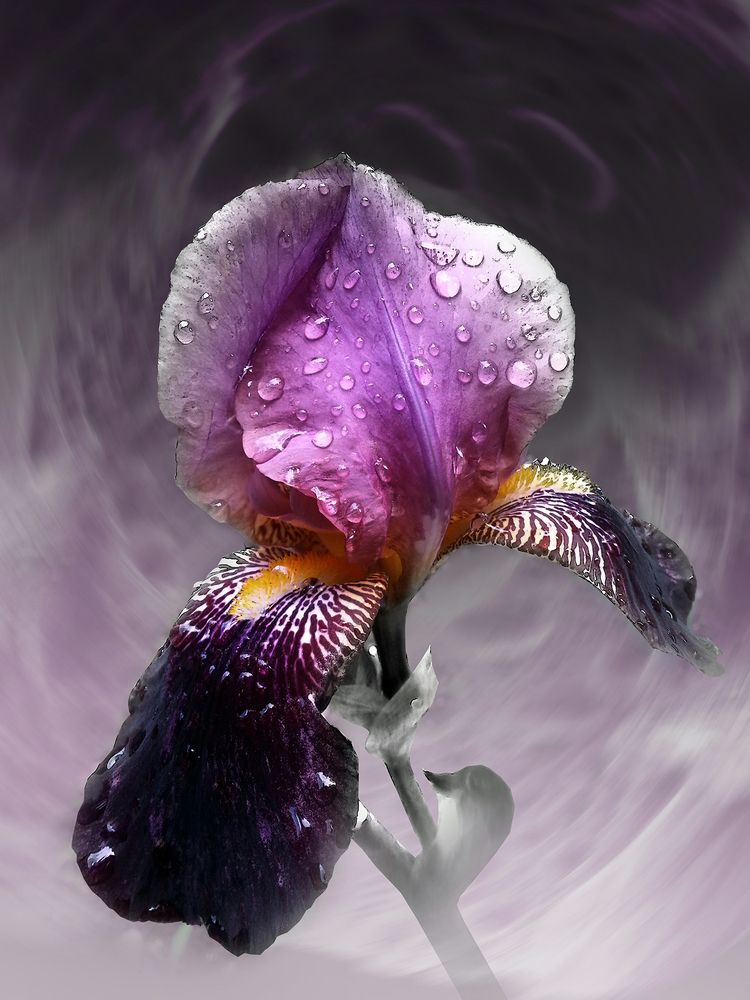 Photograph by Шипунова Ирина