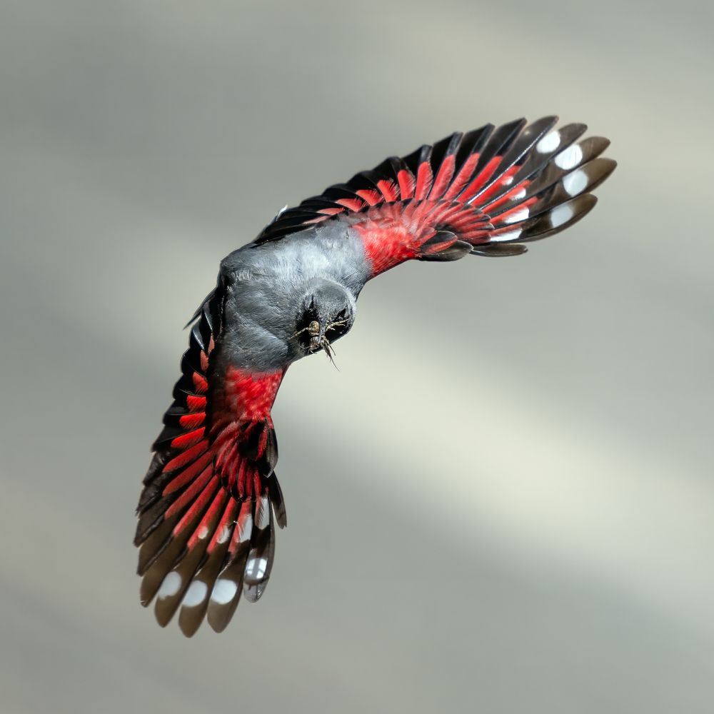 Photograph by Andrea Chiodi