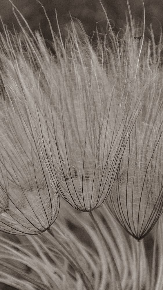 Photograph by Ирина Строкова