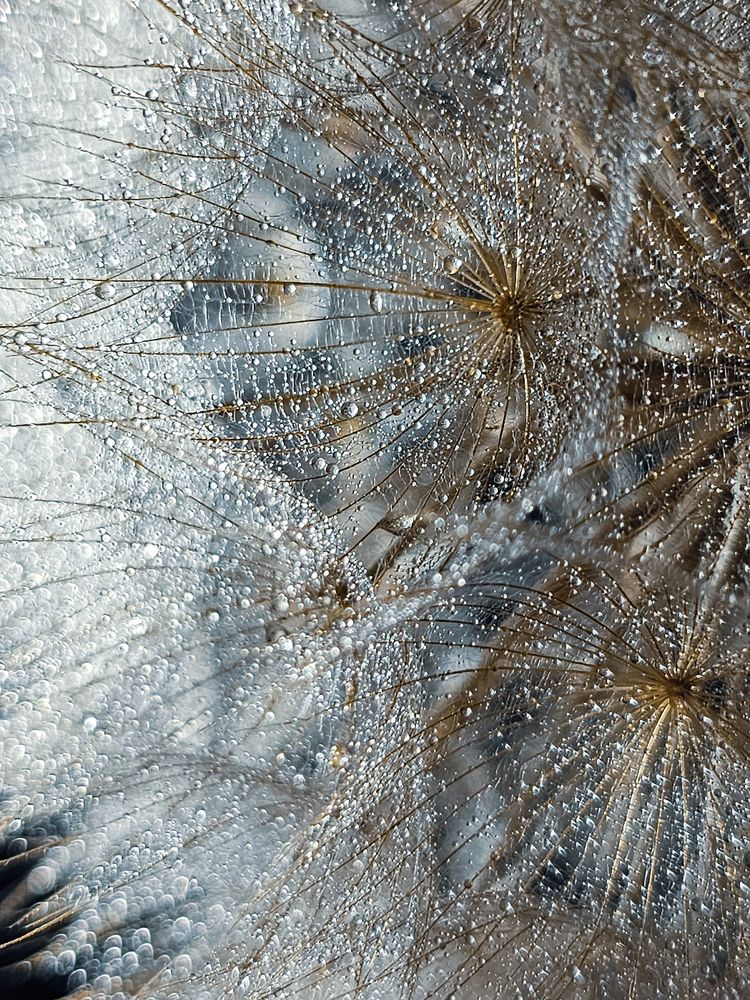 Photograph by Alexandra Sergeeva