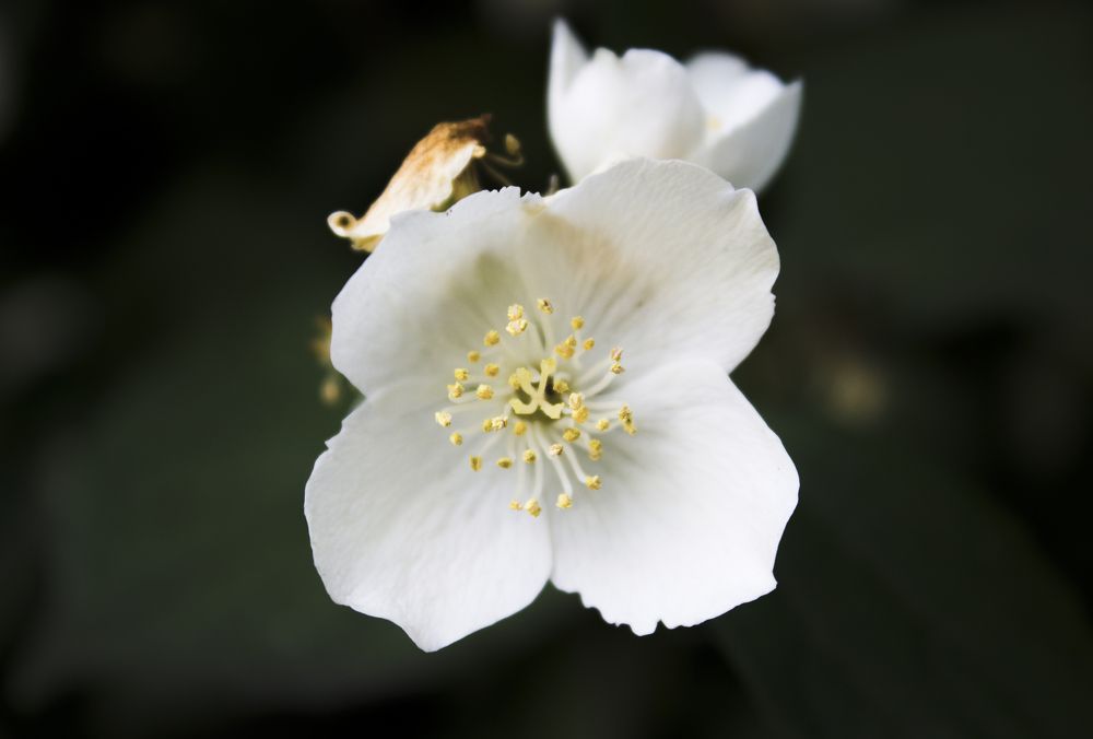 Photograph by Дарья Беляева