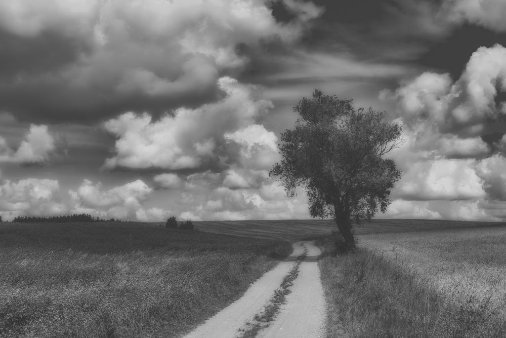 Photograph by Budyta Dariusz