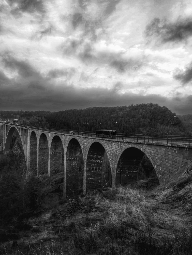 Фотография автора Alina Filimonova