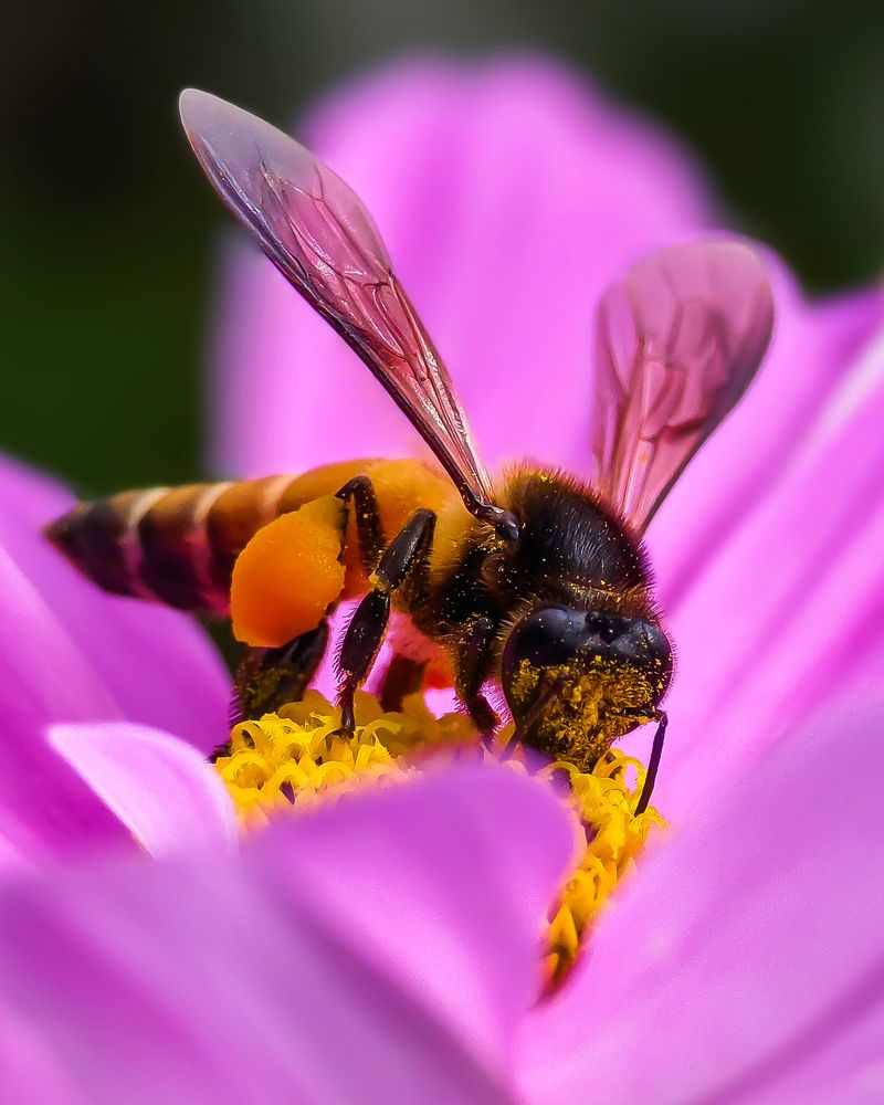 Photograph by Kedarnath M S