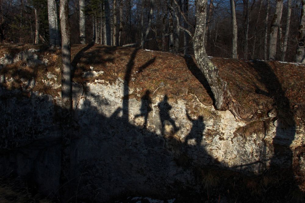 Фотография автора Татьяна Сергиенко