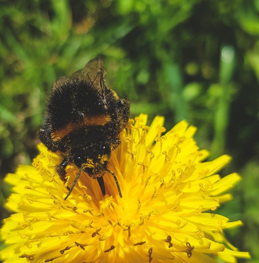 Фотография автора Джаф