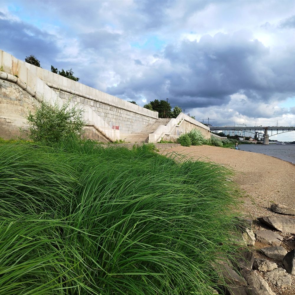 Лохматое прибрежье