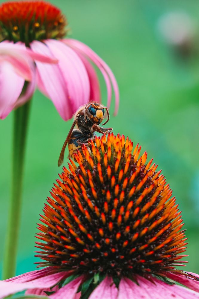 Photograph by Алексей Голубев