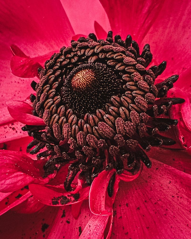 Photograph by Alexandra Sergeeva