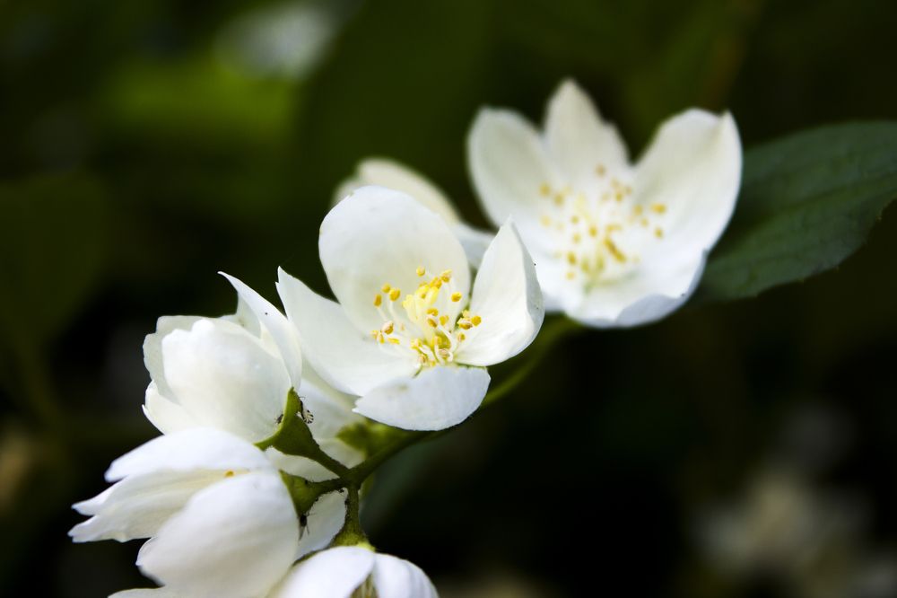 Photograph by Дарья Беляева