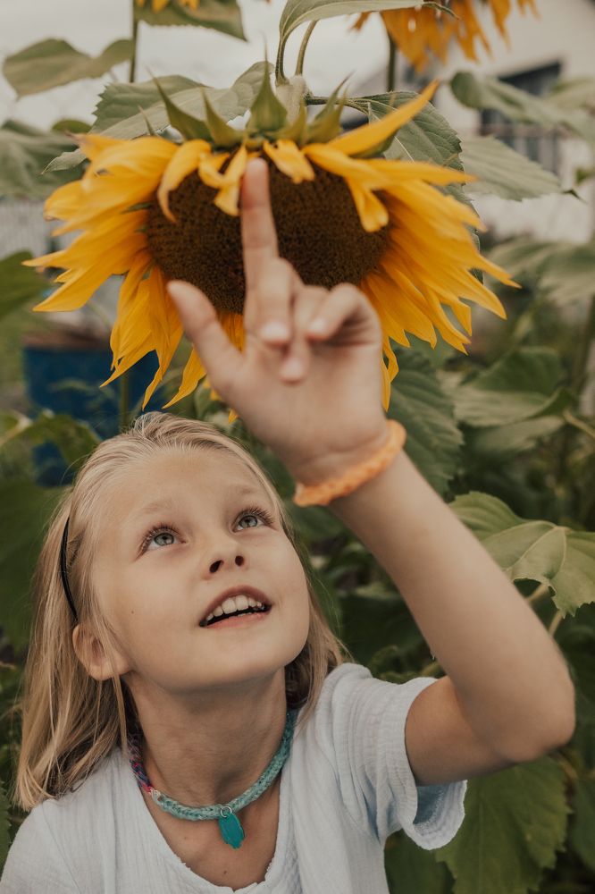 Фотография автора Надежда Воробьёва