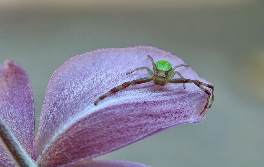 Photograph by Игорь Осипов