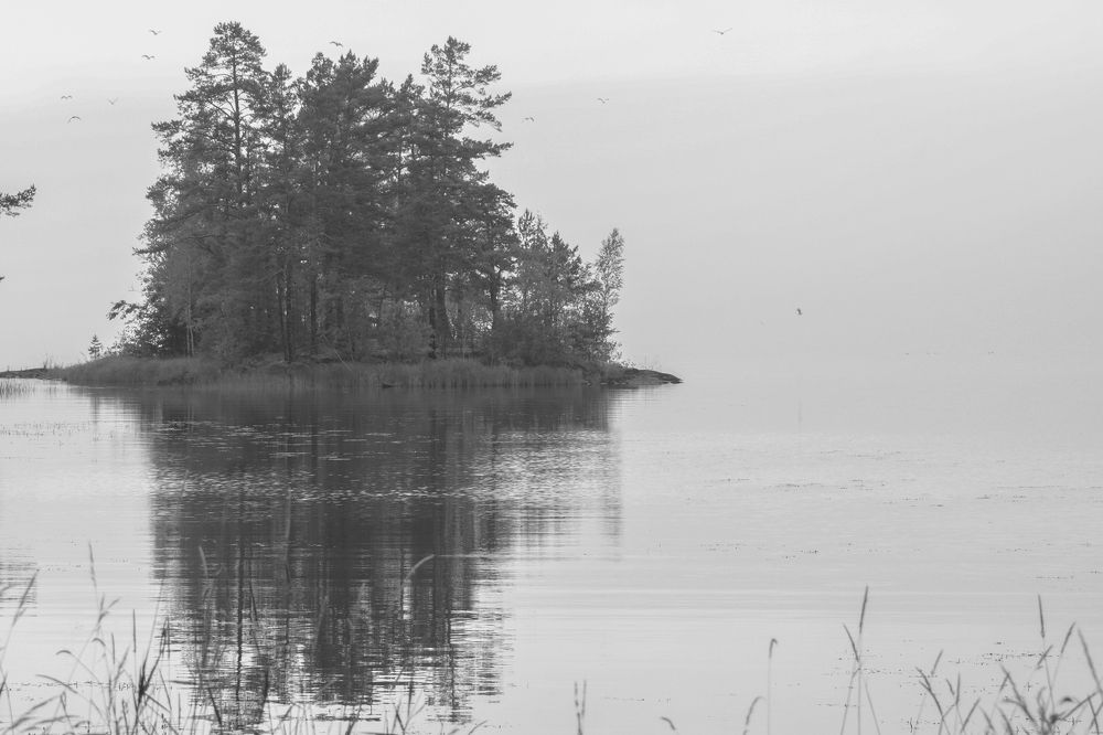 Photograph by Галина Андреева