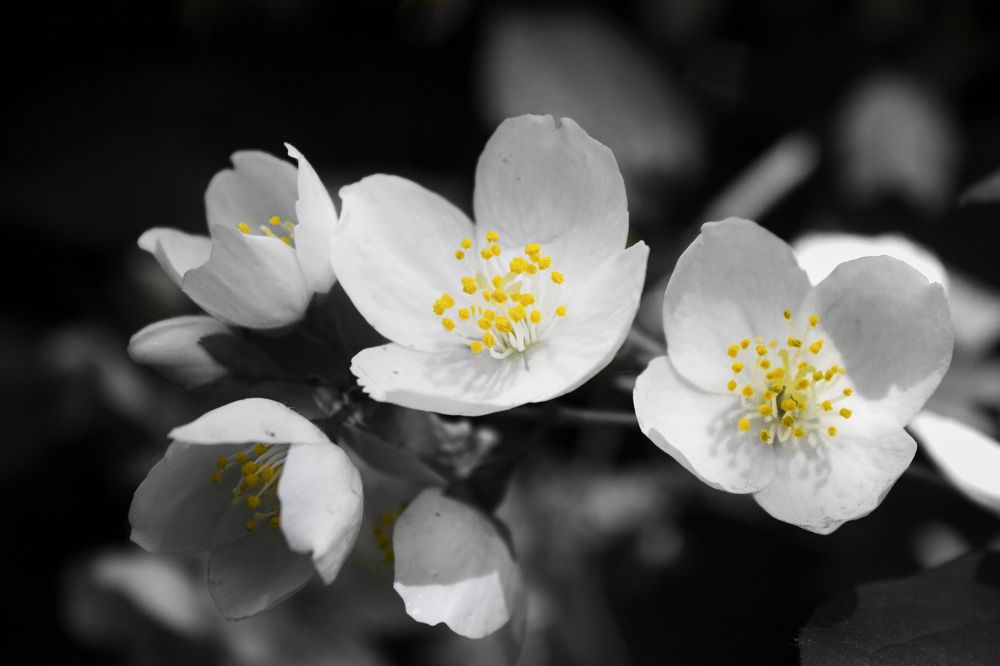 Photograph by Дарья Беляева