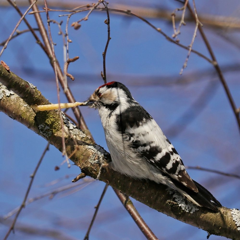 Photograph by Наталья Гайдукевич