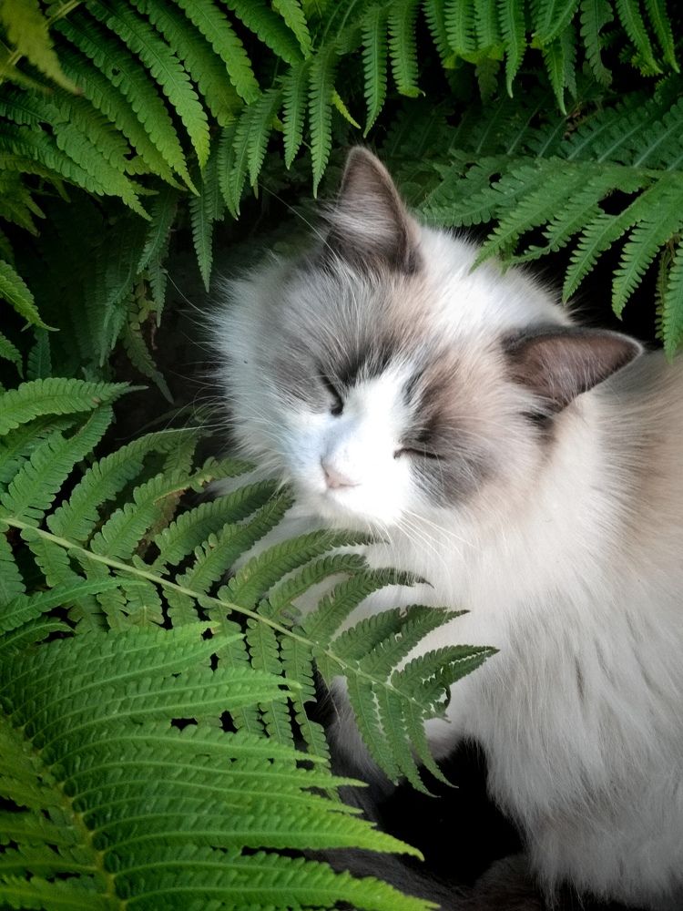 Photograph by Куделенко Оксана