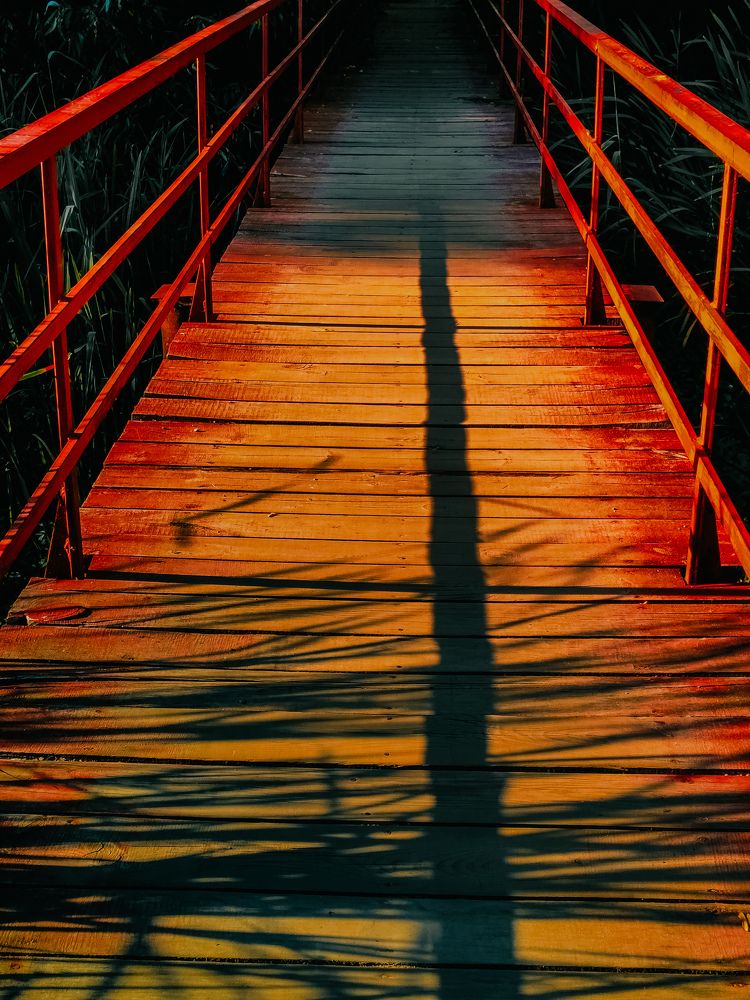 Фотография автора Алиса Исаева