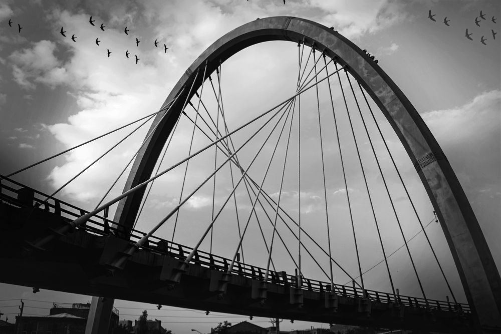 Photograph by Iraj Jabbari