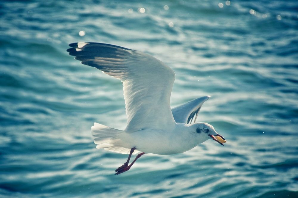 Фотография автора Washiful Majid