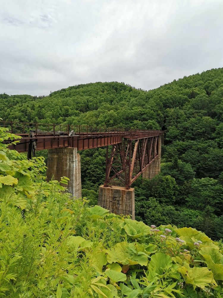 Фотография автора Закурина Маргарита
