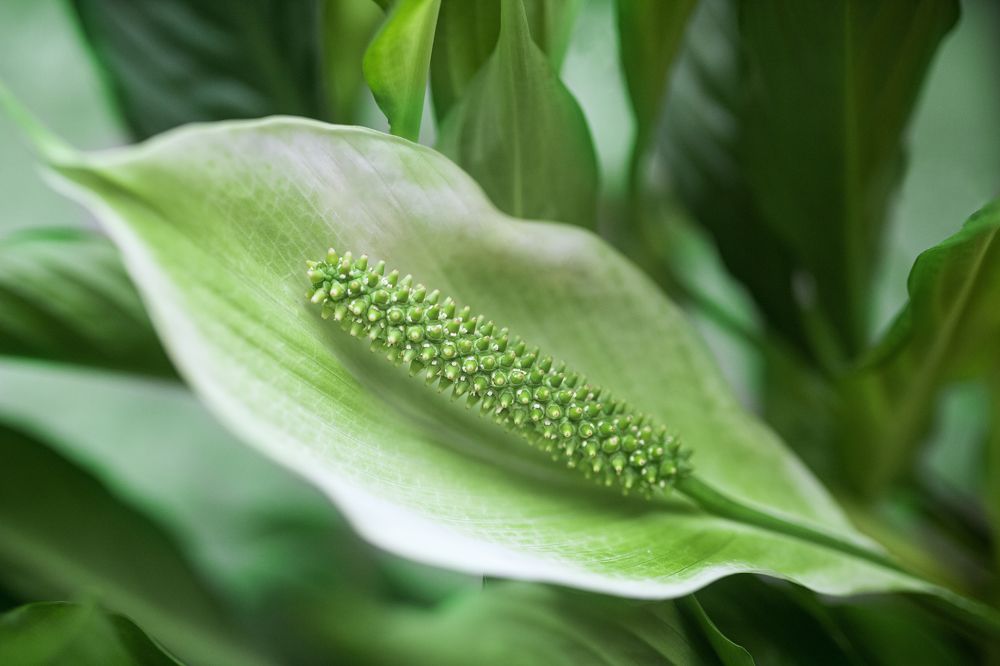 Photograph by Анна Фурса