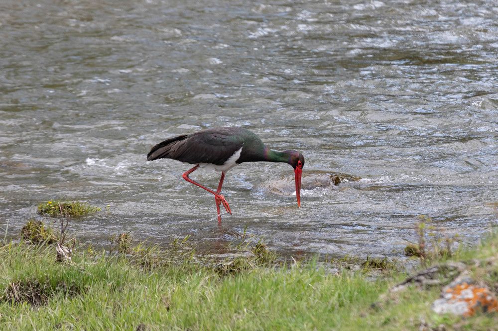 Photograph by Андрей Панов