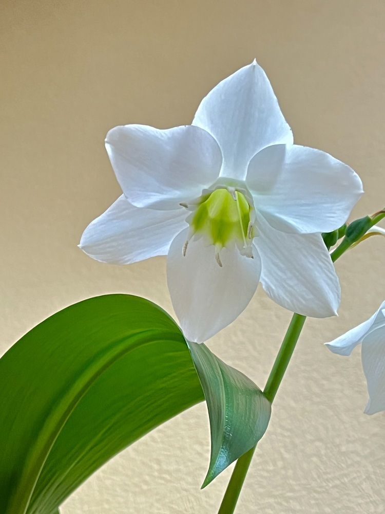 Photograph by Александр Мокров