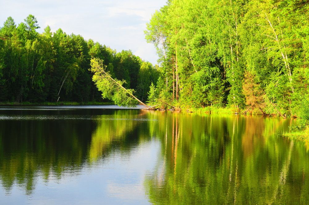 Photograph by Орл Про