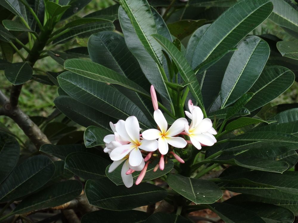 Photograph by Виктор Бута