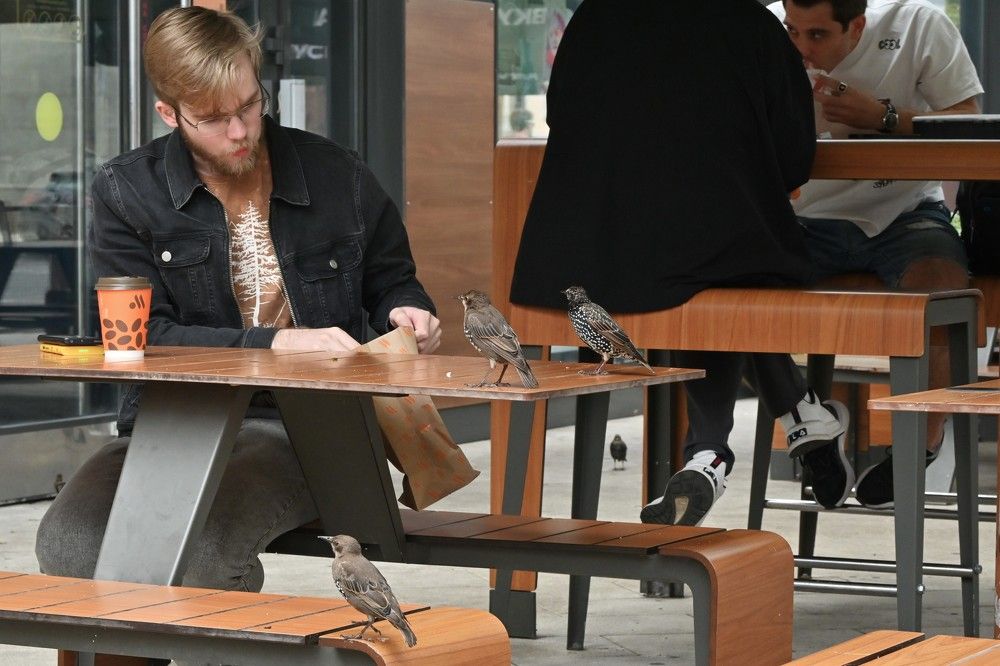 Фотография автора IRINA FILIPPOVA