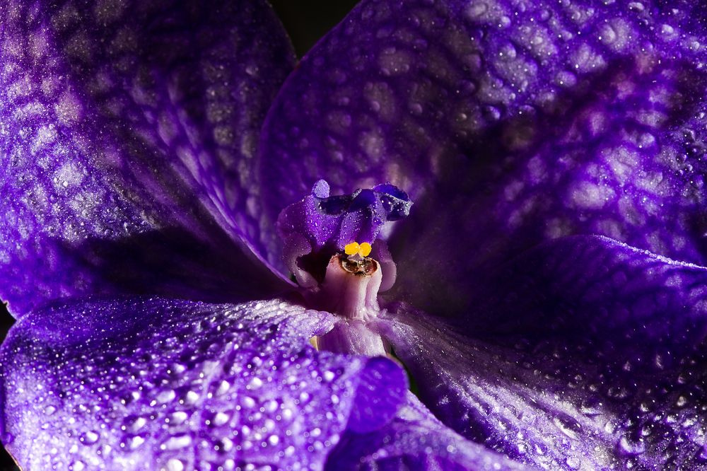 Photograph by Aleksei Kazakov