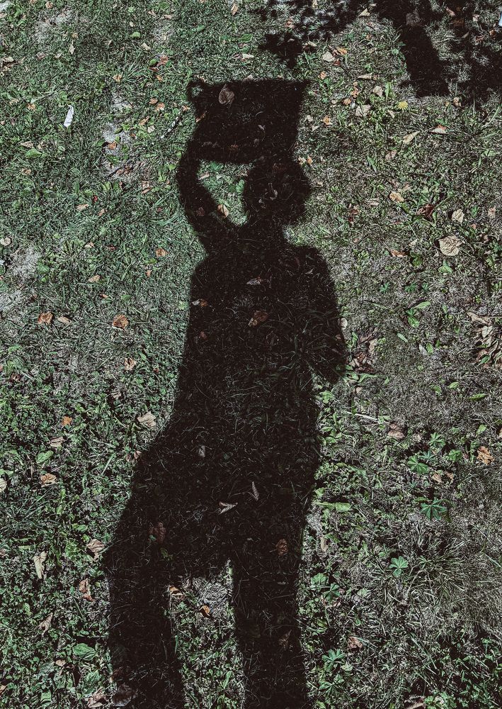 Photograph by Виктория Лаур