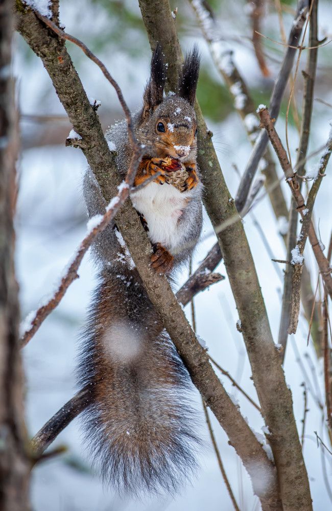 Photograph by Толян Бууулочкин