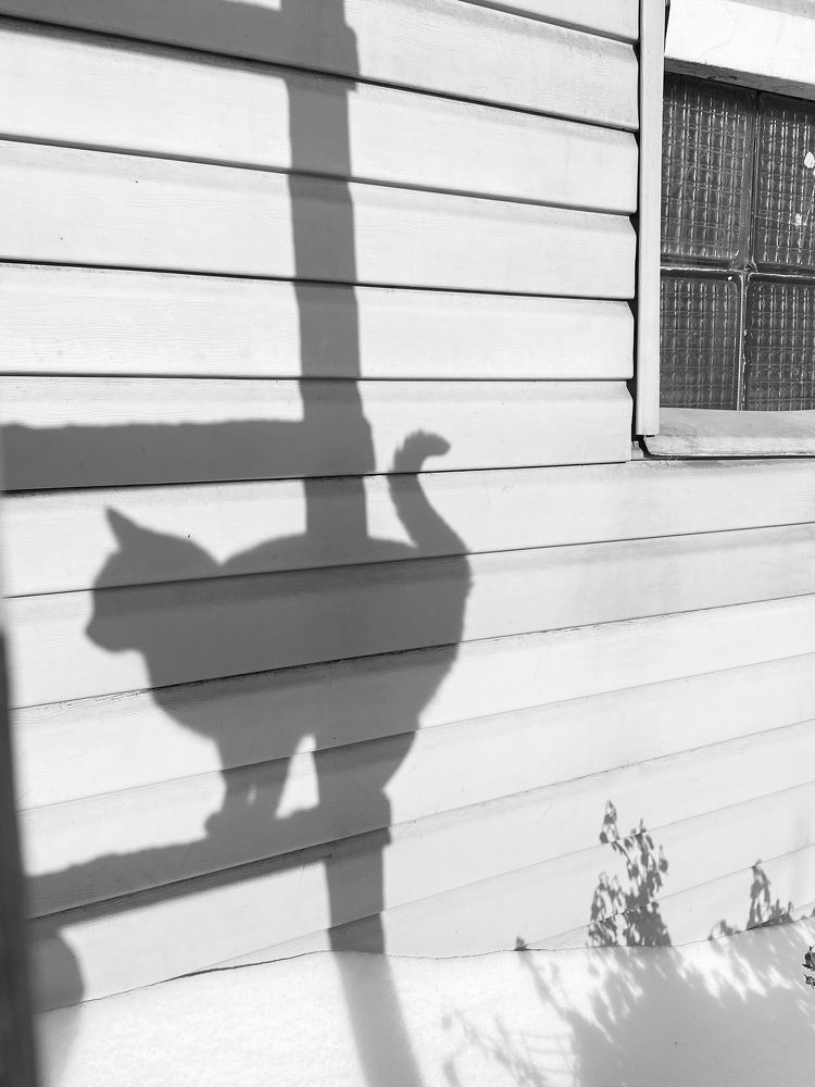 Фотография автора Юлия Баталова