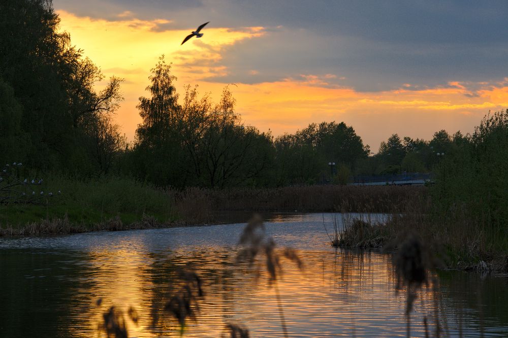 Photograph by Денис Прохоров