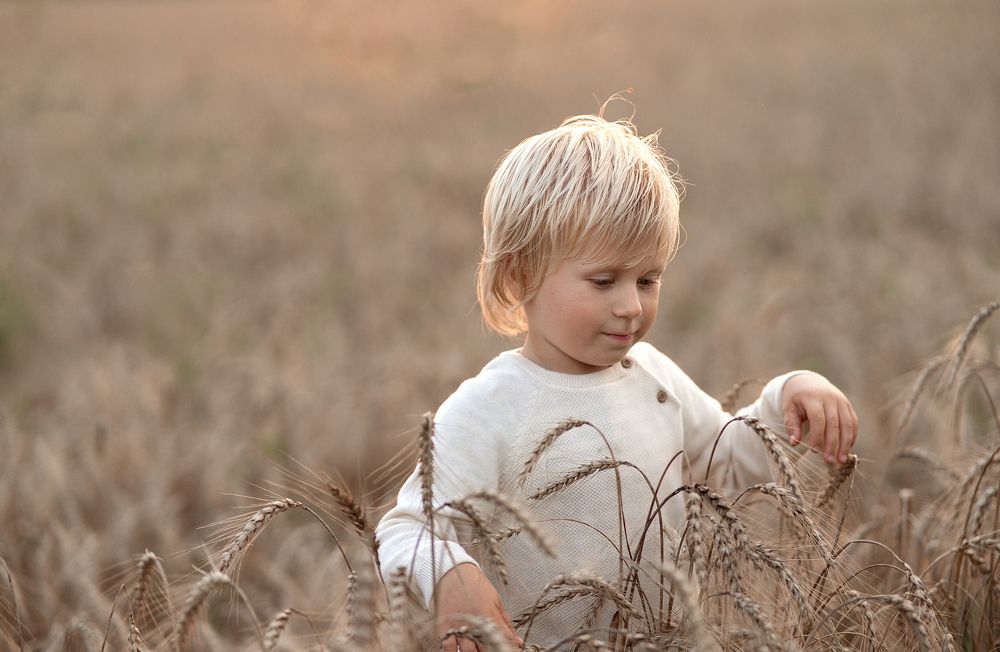 Малыш в поле