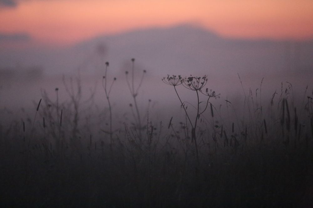 Photograph by Oksana Shchegolkova