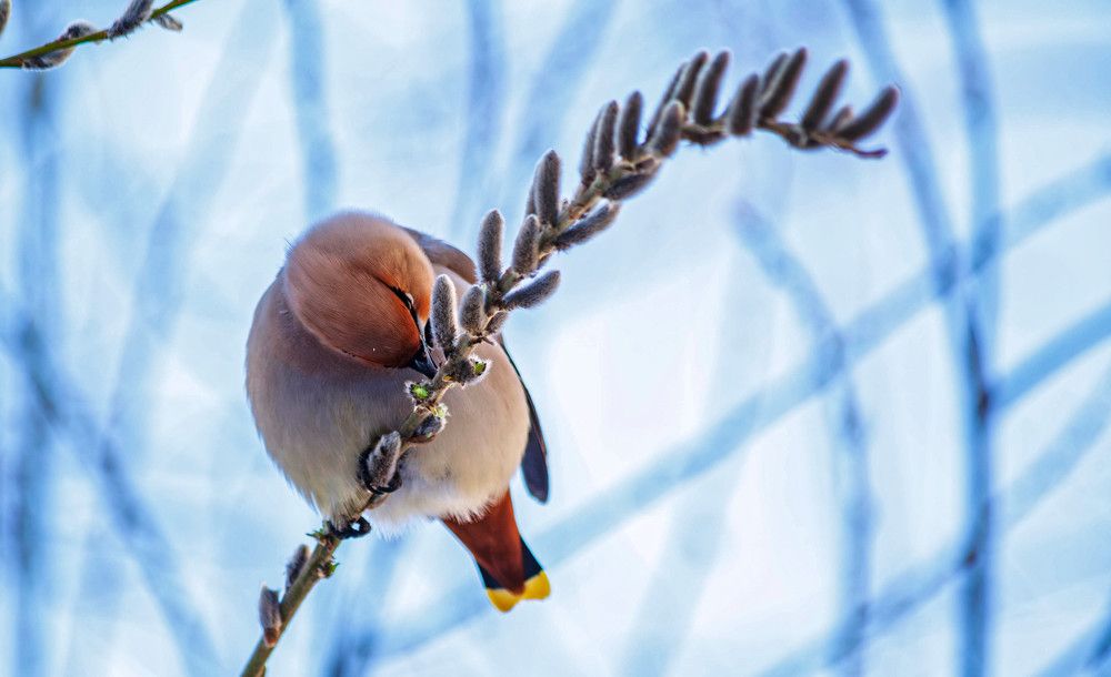 Photograph by Толян Бууулочкин