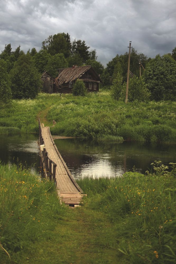 Photograph by надежда максимова
