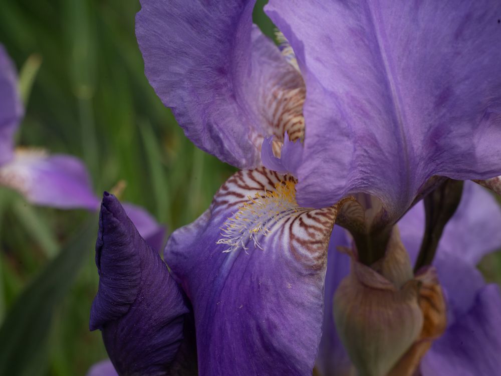 Photograph by Денис Давыдов