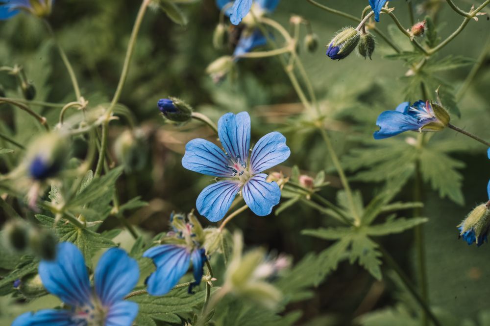 Photograph by Денис Давыдов