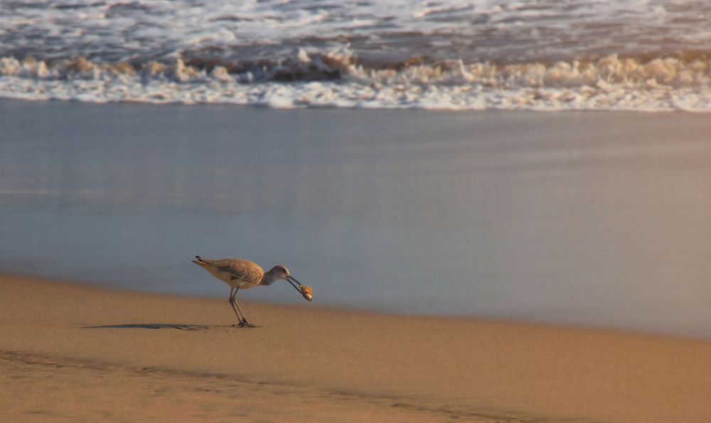 Photograph by Jaime Trejo