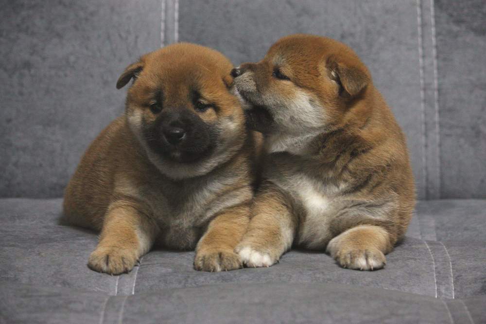 Photograph by Титова Наталья